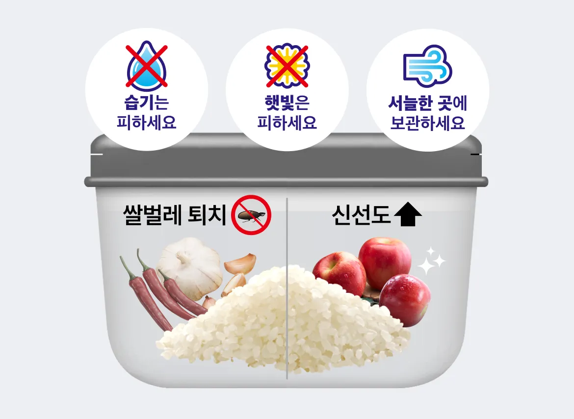 차별화상회 이코노미 혼합 쌀 20kg 습기 및 햇빛 차단 보관법과 쌀벌레 예방을 위한 마늘, 고추, 사과 통풍 보관함 구조 일러스트 가이드 그래픽