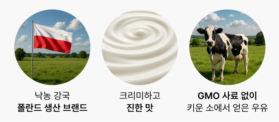 폴란드 국기, 크리미한 우유 소용돌이, 초원 위 젖소 일러스트로 표현된 밀카사 우유의 3대 핵심 가치 인포그래픽
