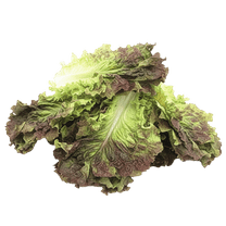 1번째 상품 상세 이미지