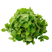 1번째 상품 상세 이미지