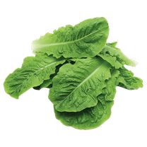 1번째 상품 상세 이미지