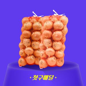 [첫구매딜] 국내산 양파 1번구 특 15kg/EA
