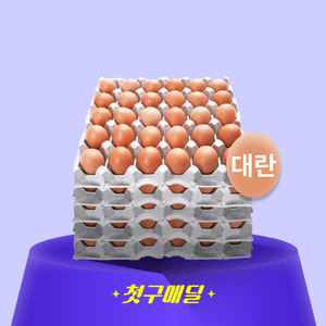 [첫구매딜] 국내산 계란 대란 5판 묶음(세척) (52G) 1.56kgx5/EA