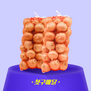 [첫구매딜] 국내산 햇양파 1번구 특 15kg/EA