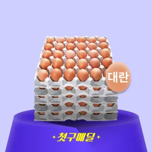 [첫구매딜] 국내산 계란 대란 5판 묶음(세척) (52G) 1.56kgx5/EA