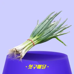 [첫구매딜] 국내산 흙대파 특 10kg/PK