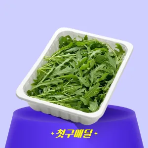 [첫구매딜] 국내산 와일드 루꼴라 1kg/PK