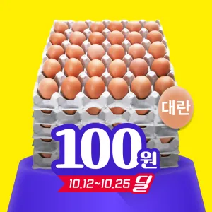 [첫구매딜] 국내산 계란 대란 5판 묶음(세척) (52G) 1.56kgx5/EA