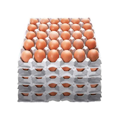국내산 계란 특란 5판 묶음 (60~68G) 1.8kgx5/EA