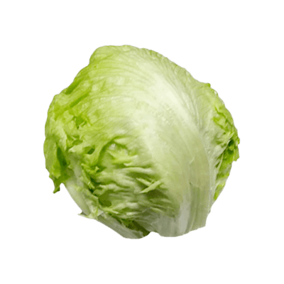 중국산 양상추 상품 1kg
