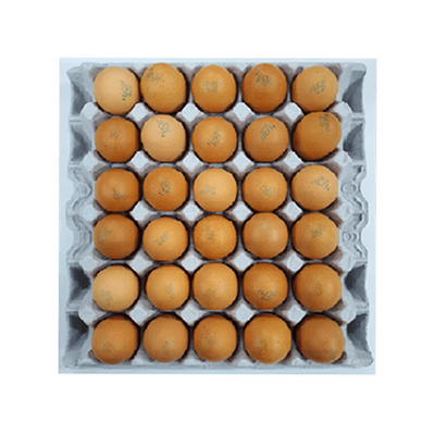 계란 대란 30알 1.56kg/PK