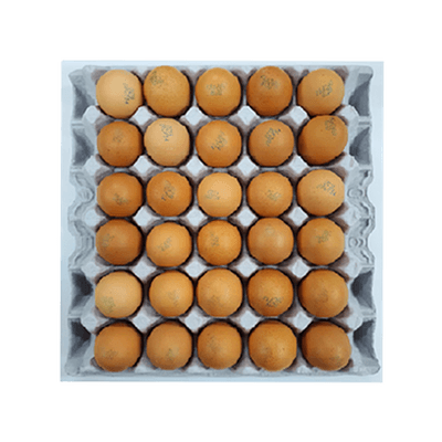 국내산 계란 특란 30알 1.8kg/PK