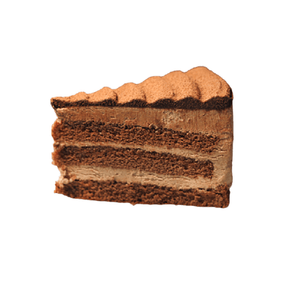 BNK 냉동 초코케익 조각 110gx6/box