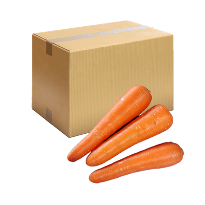 중국산 세척 당근 10kg/box