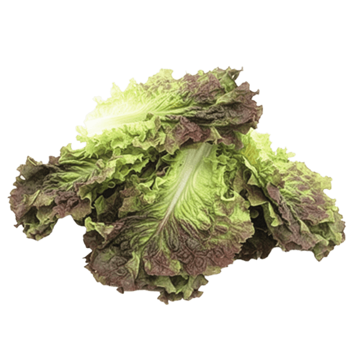 1번째 상품 상세 이미지