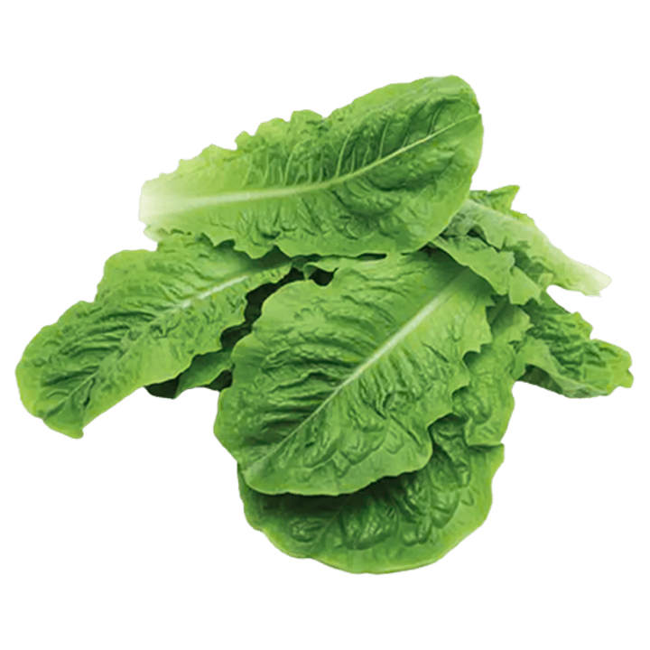 1번째 상품 상세 이미지